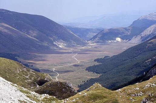 Trekking negli Altopiani e Pianori in Abruzzo: Fare trekking nei Piani di Pezza. I Piani di Pezza, situati a 1480 metri di altitudine, sono uno degli altopiani più suggestivi e ben conservati del Parco Sirente-Velino, una zona di grande valore naturalistico e paesaggistico. Caratterizzati da ampi spazi verdi, questi altopiani sono circondati da maestose faggete con alberi secolari che offrono una sensazione di tranquillità e solitudine. Il paesaggio varia con il passare delle stagioni, regalando agli escursionisti un’esperienza sempre diversa. L’area, che ospita una fauna variegata, è il luogo ideale per chi cerca il contatto diretto con la natura incontaminata, lontano dal caos delle zone più turistiche. Durante l'inverno, i Piani di Pezza diventano un vero e proprio paradiso per gli appassionati di sport sulla neve. Qui, infatti, si trovano piste da sci di fondo omologate per le tecniche classica e libera, adatte sia ai principianti che agli esperti. Un anello per il biathlon, inaugurato nel 2019, offre un’opportunità unica nel centro-sud Italia, dove si può praticare questo sport con carabine laser. Non solo sci di fondo, ma anche attività come lo sci escursionismo, l’alpinismo e lo splitboard attirano gli amanti degli sport invernali, che possono esplorare l’altopiano in modo avventuroso e immerso in un paesaggio spettacolare. Dal punto di vista geografico, i Piani di Pezza si estendono per circa 5,5 chilometri in lunghezza e 3 chilometri in larghezza, con una quota che varia dai 1.400 ai 1.550 metri. L'altopiano si trova nella catena montuosa del Velino-Sirente, e si affaccia su una serie di vette superiori ai 2.000 metri, tra cui il Monte Velino, il Monte Rotondo e altre cime che regalano un panorama mozzafiato. Questi monti, che circondano l'altopiano, proteggono la zona, creando un rifugio naturale per chi ama il trekking ad alta quota. I sentieri che attraversano quest’area sono perfetti per escursioni che spaziano tra boschi di faggio, terreni aridi e valli più isolate, come la pittoresca valle Ortica. La stagione estiva porta con sé un altro volto dei Piani di Pezza. Durante i mesi più caldi, l'altopiano diventa il punto di partenza ideale per escursioni a piedi, camminate a cavallo e percorsi in mountain bike. In questa stagione, il paesaggio si trasforma, rivelando una natura rigogliosa e variopinta, perfetta per chi ama il trekking e l’escursionismo in ambienti tranquilli e incontaminati. Inoltre, l’altopiano è il luogo perfetto per gli appassionati di skyrunning, grazie alla varietà dei suoi sentieri e alla presenza di terreni sfidanti che regalano emozioni uniche. Infine, i Piani di Pezza non sono solo un’area da esplorare, ma anche un rifugio per chi cerca pace e tranquillità. Da Capo di Pezza, punto più alto dell’altopiano, è possibile raggiungere il Rifugio Vincenzo Sebastiani, un ottimo punto di sosta per godere della vista sulla Valle Leona e della bellezza della natura circostante. Le piccole strutture ricettive e i rifugi presenti nella zona offrono accoglienza durante tutto l’anno, sia per chi desidera soggiornare che per chi si ferma per una breve sosta. Ogni angolo dei Piani di Pezza invita all’esplorazione e alla scoperta, rendendolo una meta ideale per chi cerca avventura, relax e una connessione autentica con la natura.