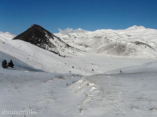 Il Piano delle Locce e Santa Maria Carboni sono due luoghi che offrono un affascinante spaccato degli altopiani e pianori abruzzesi, situati nel cuore di un paesaggio che incanta per la sua bellezza selvaggia e intatta. Il massiccio del Gran Sasso, che verso il mare forma una muraglia rocciosa imponente, nel suo interno si snoda in una serie di altipiani, bacini e vallette carsiche, ognuna delle quali ospita antichi borghi, castelli e chiese rurali. Il Piano delle Locce è uno di questi luoghi, una vasta conca erbosa che si estende a circa 1250 metri di altitudine, racchiusa tra i rilievi ai margini di Campo Imperatore, a nord del pittoresco paese di Santo Stefano di Sessanio. La particolarità del Piano delle Locce risiede nella sua conformazione naturale e nelle testimonianze storiche che lo caratterizzano. Al suo lato settentrionale si trova l’antica cappella rurale di Santa Maria Carboni, un luogo di culto che conserva tracce di un passato profondamente legato alla spiritualità e alla vita contadina. Le pendici della conca, un tempo destinate al pascolo, sono costellate di "locce", piccole stalle ipogee scavate nel terreno dove i pastori riparavano il bestiame durante la notte, un elemento che testimonia l’ingegno e la cultura di un popolo legato alla terra. A cavallo tra i secoli, la tradizione pastorale ha lasciato il suo segno nel paesaggio, soprattutto nelle grotte scavate nei pendii circostanti il Piano delle Locce. Queste cavità, che si trovano vicino a Santo Stefano di Sessanio, erano utilizzate dai pastori-agricoltori durante la Transumanza Verticale, il movimento stagionale che li portava dagli alpeggi estivi alle valli più basse. Le grotte, alcune delle quali si estendono per oltre 20 metri, sono caratterizzate da un ingresso costruito con muri a secco che sorreggono architravi in pietra. All’interno, gli spazi erano attrezzati con camini, sfiatatoi per il fumo e giacigli per i pastori, mentre sul fondo veniva creato un ricovero per gli animali. In questo angolo di Abruzzo, dove natura e storia si intrecciano, la presenza di Santa Maria dei Carboni, un antico luogo di culto situato a nord dell’altopiano delle Locce, arricchisce ulteriormente il patrimonio culturale e spirituale del territorio. I ruderi della chiesa, un tempo legata alla gràngia cistercense di Santa Maria del Monte di Paganica, sono un altro segno della sacralità che ha attraversato i secoli e che ancora oggi si respira nell’aria. Il Piano delle Locce e Santa Maria Carboni non sono solo luoghi fisici, ma anche testimoni di una tradizione che ha saputo adattarsi e arricchirsi con il passare del tempo, mantenendo intatta l’autenticità del paesaggio abruzzese. Un viaggio in queste terre offre la possibilità di immergersi in un angolo di mondo dove la natura selvaggia e la storia si fondono in perfetta armonia, creando un’esperienza unica e senza tempo.
