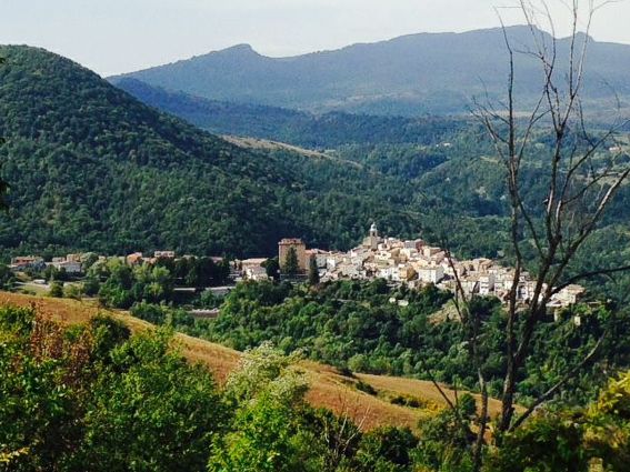 Roio del Sangro è un piccolo e suggestivo borgo montano della provincia di Chieti, situato in una posizione panoramica che domina la valle del fiume Sangro. Il paese, circondato da boschi e natura incontaminata, conserva il fascino autentico dei centri abitati abruzzesi, dove il tempo sembra scorrere più lentamente. Il centro storico, con le sue stradine silenziose e le abitazioni in pietra, invita a una passeggiata rilassante tra scorci pittoreschi e viste che si aprono sul paesaggio circostante, offrendo un’atmosfera di quiete e autenticità. Tra i luoghi più significativi da visitare c'è la Chiesa di San Francesco, che custodisce testimonianze storiche e artistiche della spiritualità del borgo. L’area intorno a Roio del Sangro è ideale per escursioni a piedi o in bicicletta, grazie ai sentieri che si snodano tra colline, boschi e ruscelli, permettendo di entrare in contatto diretto con la natura e con la bellezza selvaggia dell’Appennino abruzzese. I panorami che si possono ammirare lungo questi percorsi rendono ogni visita un’esperienza rigenerante, perfetta per chi cerca silenzio e paesaggi incontaminati. La tradizione gastronomica del paese riflette la semplicità e la genuinità della cultura rurale abruzzese. A Roio del Sangro è possibile gustare piatti tipici a base di prodotti locali, come formaggi, salumi e pietanze a base di legumi, che raccontano la storia di una comunità legata alla terra e alle stagioni. Le sagre e gli eventi tradizionali offrono ulteriori occasioni per vivere l’anima del paese, tra convivialità, memoria e sapori autentici. Visitare Roio del Sangro significa riscoprire il valore della lentezza e dell’essenziale, in un contesto di straordinaria bellezza naturale.