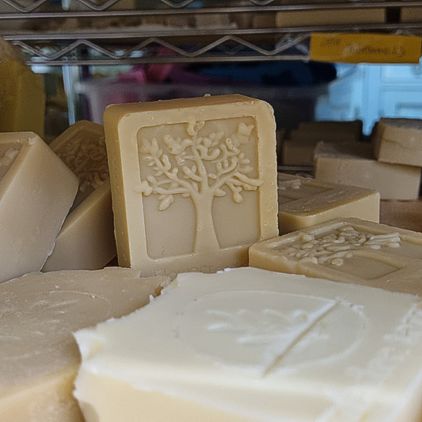 La lavorazione del sapone artigianale in Abruzzo è una tradizione che affonda le radici nella cultura locale, fortemente legata alla natura e agli ingredienti tipici della regione. Gli artigiani abruzzesi sono da sempre esperti nell’utilizzo di materie prime naturali, come l’olio d’oliva, che svolge un ruolo centrale nella produzione dei saponi. L'olio extravergine di oliva, infatti, è noto per le sue proprietà emollienti e idratanti, ed è perfetto per la realizzazione di saponi delicati ma efficaci, che rispettano la pelle e l’ambiente. La produzione di sapone artigianale in Abruzzo segue metodi tradizionali che richiedono grande attenzione e cura. Ogni pezzo di sapone è realizzato a mano, con un processo che prevede la saponificazione dell’olio con l'aggiunta di altri ingredienti naturali come erbe aromatiche, fiori e spezie locali. Ogni componente viene scelto non solo per le sue proprietà benefiche, ma anche per il suo legame con il territorio. La lavorazione artigianale permette di mantenere intatti tutti i benefici degli ingredienti naturali, a differenza dei saponi industriali, che spesso perdono le loro qualità durante i processi meccanizzati. Oltre alla cura degli ingredienti, la lavorazione del sapone artigianale in Abruzzo è anche un’arte nella forma e nel design. Gli artigiani creano saponi decorati, utilizzando tecniche di modellatura e taglio che li rendono belli da vedere oltre che da utilizzare. I saponi sono spesso venduti in pezzi unici, ognuno con una sua particolare caratteristica, che può variare dalla profumazione all’aspetto estetico. In alcuni casi, i saponi vengono anche arricchiti con oli essenziali che esaltano la fragranza e le proprietà terapeutiche, rendendo ogni prodotto ancora più speciale. Negli ultimi anni, l’artigianato del sapone in Abruzzo ha conosciuto una rinascita, con una crescente domanda sia da parte dei consumatori locali che dei turisti. La riscoperta di questi prodotti naturali, autentici e realizzati con metodi sostenibili ha dato nuova vita a piccole botteghe artigiane che offrono saponi freschi e di qualità. Ogni sapone racconta una storia di tradizione e passione per l’artigianato, e diventa così non solo un oggetto utile, ma anche un vero e proprio pezzo di cultura abruzzese.