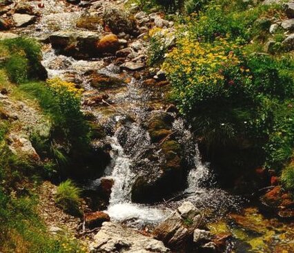 Le sorgenti dei fiumi in Abruzzo: Sorgenti del fiume Arno a Pietracamela. Sapevate che Pietracamela, deliziosa località in provincia di Teramo, in origine si chiamava Petra? Molto probabilmente perché le prime abitazioni furono costruite su enormi macigni portati a valle dallo scioglimento dei ghiacciai di Campo Pericoli. Arrivando in questo pittoresco borgo avrete la sensazione di essere sospesi sulla roccia a più di 1000 metri di altezza. Il bellissimo centro montano è immerso nella natura del Parco Nazionale del Gran Sasso e Monti della Laga alle pendici del Corno Piccolo, la seconda cima più alta del massiccio del Gran Sasso d’Italia. Si presenta in tutto il suo splendore non appena superato il bivio di Intermesoli, che si incontra salendo dal ponte sul Rio Arno. Da qui potrete godere di un panorama di incomparabile bellezza che spazia dai Monti della Laga, con le loro foreste ricche di acque che scendono copiose a valle, alle vette maestose del Gran Sasso d’Italia, a partire dal Corno Grande, il tetto degli Appennini con le sue cime aguzze e le pareti verticali, i ghiacciai e tutte le straordinarie meraviglie del Parco. Passeggiando tra le piccole “viuzze” che percorrono il paese dipanandosi tra le caratteristiche abitazioni in pietra, vi imbatterete in deliziose chiesette in stile romanico ricche di tesori artistici e religiosi. Tra queste la Chiesa di San Leucio, costruita nel 1780 nei cui pressi è situata la Casa Torre che anticamente era utilizzata come torre di avvistamento, la Chiesa di San Rocco, edificata nel 1530 in occasione dell’epidemia di peste e dedicata al Santo protettore degli appestati e la Chiesa di San Giovanni (1432), circondata da case i cui portali recano date dal 1471 al 1616. Testimonianza delle antiche doti architettoniche e della storia di questo borgo immerso nella natura, è Casa Signoretti, antica dimora che reca due finestre bifore con colonnine tortili, sormontate da un architrave sul quale, posto in rilievo, è presente il probabile simbolo dei cardatori di lana. Da Pietracamela partono bellissimi sentieri che conducono alle sorgenti del Rio Arno, alla Madonnina del Gran Sasso, una statua in bronzo chiamata anche la “Bianca Castellana” custodita in una chiesetta sulla cresta dell’Arapietra a 2050 metri, fino al Rifugio Franchetti situato nel Vallone delle Cornacchie su uno sperone di roccia a 2433 metri. Sempre partendo dall’incantevole borgo potrete raggiungere facilmente la stazione sciistica di Prati di Tivo. Un sentiero attraverso il bosco vi porta in 45 minuti alla frazione di Intermesoli, caratterizzata da alcune abitazioni risalenti al XVI secolo e da una chiesa di particolare interesse per il suo portale in pietra e per l’altare ligneo barocco. Altri sentieri vi accompagnano a Tossicia, a Cerqueto, ad Assergi, costeggiando fiumi, percorrendo boschi, vallate pietrose, piani erbosi, mulattiere, sentieri dei pastori.