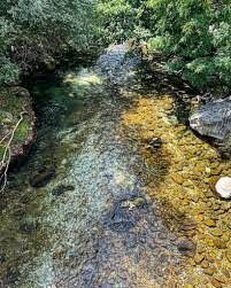 Le sorgenti dei fiumi in Abruzzo: Sorgente delle Grotte del Cavallone. Il complesso delle grotte del Cavallone, nella spettacolare Valle di Taranta, fra Lama dei Peligni e Taranta Peligna, in Majella, ha affascinato i curiosi e interessato gli studiosi per diverso tempo, sin dalla prima esplorazione della più grande ed evidente delle tre grotte, quella del Cavallone, divenuta poi la grotta con l’ingresso posto alla quota più alta rispetto a tutte le altre grotte turistiche d’Europa. La sua quota di ingresso, infatti, è situata a oltre 1470 metri slm. La Grotta del Cavallone è detta anche “Grotta della Figlia di Iorio” dal titolo della omonima tragedia pastorale dannunziana ambientata in Abruzzo, del 1903. D’Annunzio chiese al pittore e scenografo Paolo Michetti di occuparsi della scenografia della tragedia. Grazie a ciò gli ambienti ipogei del Cavallone rappresentano uno dei luoghi dannunziani per eccellenza. La prima traccia di un’esplorazione risale al 1666 in base ad una incisione nel “Sasso dei nomi antichi” situata all’ingresso della grotta stessa. Nel ‘700 diversi esploratori effettuarono sopralluoghi, se ne è a conoscenza grazie ai riferimenti degli esploratori successivi venuti a conoscenza di queste gesta attraverso i racconti e le “tradizioni orali della gente”. Queste grotte furono utilizzate come rifugio dagli abitanti di Taranta Peligna durante la Seconda Guerra Mondiale nell’autunno del 1943, quando il fronte bellico era alle pendici sudorientali della Majella, lungo la linea Gustav. La temperatura costante di 10°C consentì la sopravvivenza e i grandi ambienti della cavità consentirono inoltre di poter accogliere anche capi di bestiame.