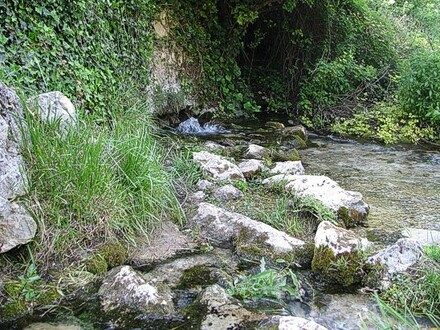 Sorgenti del Fiume Pescara a Popoli (Pe) L'Abruzzo è una terra straordinariamente ricca di sorgenti naturali che impreziosiscono i suoi paesaggi montani con acque limpide e fresche. Tra le più affascinanti si trovano le sorgenti del Fiume Verde, che sgorgano ai piedi della Majella, nei pressi di Fara San Martino, una zona celebre anche per la tradizione pastaia. Più a nord, le sorgenti del Fiume Tirino, tra Bussi sul Tirino e Capestrano, sono famose per le loro acque incredibilmente trasparenti, ideali per attività all’aperto come il kayak. Nell'area del Parco Nazionale della Majella, la Fonte di Sant'Angelo offre un contesto naturale suggestivo vicino a eremi storici, mentre le sorgenti delle Grotte del Cavallone, a Taranta Peligna, regalano panorami straordinari immersi nella natura selvaggia. La regione è anche conosciuta per le sue acque termali, come quelle della Fonte della Salute a Caramanico Terme, apprezzate per i benefici terapeutici. Più in alto, nel paesaggio dell’Appennino, le sorgenti che alimentano il Lago di Scanno contribuiscono al fascino unico di questo famoso lago montano, e altre fonti, come quelle di Rivisondoli e Pietracamela, emergono da ambienti incontaminati, offrendo agli escursionisti l’opportunità di immergersi in un ambiente puro e rilassante. Tra le altre sorgenti caratteristiche, la Fonte della Noce di Sulmona, nota per la sua leggerezza, è storicamente legata alla quotidianità delle comunità locali. Ogni sorgente d’Abruzzo racconta una storia di connessione tra l’uomo e la natura, contribuendo a rendere questa regione un autentico paradiso per gli amanti del paesaggio e delle acque pure.