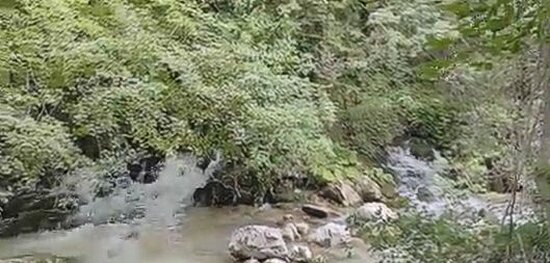 Le sorgenti dei fiumi in Abruzzo: Sorgenti dell'Aventino. Le sorgenti dell'Aventino si trovano all'interno dell’area vincolata di interesse paleontologico di Capo di Fiume sul versante orientale del Monte Porrara, nel Parco Nazionale della Maiella, in provincia di Chieti: un prezioso patrimonio alimentato anche dalle piogge e dalle nevi, con una portata di 1.200 litri al secondo. Per godere di questo oro blu, dovete raggiungere la strada provinciale Frentana, a circa 2 chilometri da Palena in direzione Pescocostanzo, dove sono collocati un pannello didattico e alcuni tavoli da picnic, e scendere alcuni gradini in pietra per meglio sintonizzarvi con l’anima fluviale. Se rimanete in silenzio, potreste avvistare daini, scoiattoli, caprioli, aironi, lontre che vivono lungo le sue rive, nascosti in tratti di natura quasi selvaggia, di grande bellezza. Vi consigliamo di visitare anche il vicino Geosito di Capo di Fiume, il Museo Geopaleontologico e il Museo dell'Orso, per avere un quadro completo della storia e dell’ambiente del territorio. Dopo aver percorso 45 chilometri di parco e avervi stupito semplicemente con la sua acqua adamantina, senza nessun effetto speciale, l’Aventino si butta nel Sangro, salutandovi con i suoi gorgoglii, così come solo un fiume sa fare.