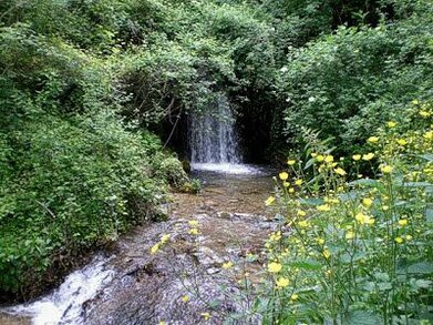 Le sorgenti dei fiumi in Abruzzo: Sorgenti del fiume Vera. La riserva "Sorgenti del fiume Vera" è un'area naturale protetta di circa 30 ettari praticamente attigua al centro abitato di Tempera, frazione dell'Aquila, costituita nel 1983. Nei pressi delle Sorgenti del Vera, uno dei fiumi più batteriologicamente puliti d’Abruzzo, tre mulini ad acqua, di cui uno ancora funzionante ed una cartiera risalente al 1717, testimoniano il valore di queste acque per il benessere economico di Tempera. Diverse cascate presenti nelle sorgenti creano un ambiente selvaggio ed affascinante. Gli equiseti e i farfaracci caratterizzano il sottobosco. Tra la vegetazione si incontrano ligustri, biancospini, prugnoli e, tra gli alberi, Pioppi neri e Salici. Tra le specie acquatiche la Lenticchia d’acqua ed il Sedano d’acqua, il Ranunculus repens, il Crescione d’acqua, il Garofanino d’acqua e la Menta acquatica. La Ballerina bianca, la Ballerina gialla, il Rampichino, il Pigliamosche e il Picchio verde sono tra gli uccelli più noti della Riserva, tra i mammiferi numerose le volpi e le faine. Una particolarità del fiume Vera è quella di ospitare un insetto endemico, ossia un insetto che vive solo ed esclusivamente in un territorio di limitatissima estensione: il Plecottero Taeniopteryx mercuryi. Sono tre gli itinerari consigliati nella Riserva: Il Sentiero 1 (verde), lungo 1,2 chilometri, crea un percorso ad anello nella zona nord del paese di Tempera, consigliato a tutti coloro che vogliano svolgere le seguenti attività all'aperto: MTB, trekking, quando c'è neve: ciaspolata. Il Sentiero 2 “Panoramico” (rosso) lungo circa 2,1 chilometri che si sviluppa secondo un circuito ad anello che attraversa la zona nord del paese di Tempera, consigliato a tutti coloro che vogliano svolgere le seguenti attività all'aperto: MTB, pattinaggio, camminata, Il Sentiero 3 (Blu) nel cuore della Riserva, consigliato a tutti coloro che vogliano svolgere le seguenti attività all'aperto: hiking, birdwatching.