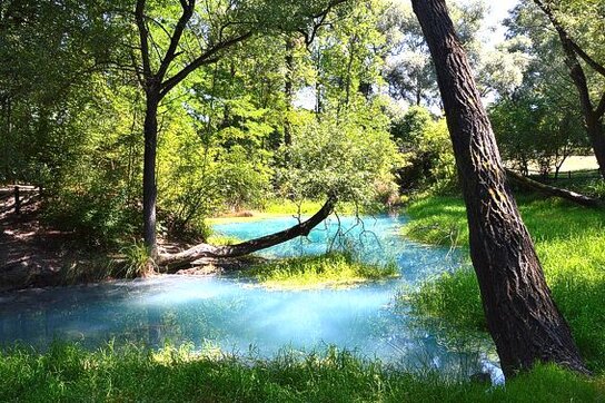 Parco Territoriale Attrezzato delle Sorgenti Sulfuree sul Lavino (Scafa - Pe) Abruzzo. Il Parco delle Sorgenti Sulfuree del Lavino, situato nel comune di Scafa, nella frazione di Decontra, si estende per 40 ettari ed è un’area naturale protetta dal 1987. Deve il suo nome al fiume Lavino, che nasce nel Vallone di Santo Spirito, nella parte settentrionale della Majella, e confluisce nel fiume Pescara dopo aver attraversato Scafa. Le acque sulfuree, ricche di solfati disciolti, conferiscono al fiume una colorazione unica e un caratteristico odore di zolfo. Lungo il corso d’acqua si incontra l’antico Mulino Farnese, risalente al XVI secolo, testimone della storica utilizzazione delle acque per l’alimentazione di quattro centrali idroelettriche, una segheria e diversi mulini a palmenti. La ricchezza naturale del parco è evidente nella sua variegata vegetazione, che comprende salici, pioppi, giunchi, roverelle, aceri campestri, carpini, robinie, biancospini, ginestre, ciclamini e pervinche. La fauna è altrettanto vivace, con la presenza di volpi, ricci, cardellini, usignoli e il colorato martin pescatore, che spesso sorprende i visitatori con la sua rapidità. Questo ecosistema, reso unico dalle particolari caratteristiche chimiche delle acque, crea un ambiente suggestivo in ogni stagione. All’ingresso del parco è presente un’area attrezzata con giochi per bambini, tavoli e panche in legno, ideale per una sosta all’aria aperta. Un comodo sentiero, adatto a tutti, consente di esplorare il parco a piedi o in bicicletta, partendo da Scafa, nei pressi di un arco in ferro battuto che riporta la scritta “Parco del Lavino”. L’atmosfera tranquilla, unita alla bellezza naturale e alla storia del luogo, rende questo sito una meta perfetta per chi desidera scoprire un angolo autentico dell’Abruzzo.