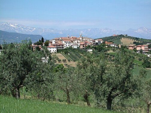 Centro agricolo del subappennino abruzzese, (1684 ab.) sorge su un ameno poggio che si erge sulla sponda sinistra del torrente Vibrata a nord-est di Teramo, da cui dista 30 Km. circa. Il nome della cittadina deriva dall'antico nome della dea della fertilità Turan e rispecchia in pieno la laboriosità e il dinamismo dei Toranesi, mentre, l'aggettivo "Nuovo" è stato aggiunto nel 1864 a seguito di un decreto reale di Vittorio Emanule II. Nel Medioevo fu certo un forte castello posto a confine tra lo Stato Pontificio e il Regno di Napoli. Nel 1496, durante la cosidetta "guerra del gesso" di Carlo VIII fu raso al suolo, ma grazie alla solerzia e all'ingegnosità dei suoi abitanti fu ricostruito "più bello che pria". Situato su di una collina, a 241 metri s.l.m., offre uno dei piu' incantevoli e pittoreschi panorami della provincia, circondato com'è da valli e poggi cosparsi di ridenti casolari e rigogliosi vigneti. E' noto per la coltivazione delle viti e per la produzione di vino, famoso fin dai tempi antichi tanto che, secondo Plinio, Annibale , reduce dalla battaglia del Trasimeno, se ne servi' per curare i suoi cavalli malati di scabbia. La produzione del vino (Montepulciano D.O.C., Trebbiano D.O.C., Controguerra D.O.C,. e colline Teramane D.O.C.G.) è così importante, che Torano Nuovo è stato denominato "Capitale del Montepulciano d'Abruzzo". Il ricco menù dei prodotti tipici toranesi è completato da salumi e prosciutti delle cinque stagioni, dal farro, dal formaggio e dal miele. Per la sua tipicità enogastronomica merita senz'altro il titolo di "paese del gusto". Tra i personaggi illustri che hanno avuto i natali a Torano Nuovo ricordiamo Vincenzo Comi nato il 3 novembre 1746, naturalista insigne e chimico che applicò con felice ardimento i principi della chimica all'agricoltura e all'industria. Nel 1820 fu eletto deputato al Parlamento di Napoli. Alberto Di Feliciantonio, "pittore contadino" nato a Torano Nuovo nel 1921, e recentemente scomparso, recensito dalla stampa nazionale ed estera.