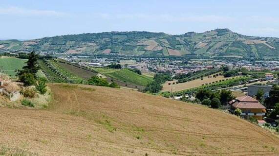 La Val Vibrata si estende lungo il fiume Vibrata, che nasce nei monti dell'entroterra e sfocia nel mare Adriatico, creando un paesaggio ricco di bellezze naturali e borghi affascinanti. Questa valle, che si snoda tra colline verdi e terre fertili, è caratterizzata da un paesaggio agricolo dove la tradizione si intreccia con la modernità. I piccoli paesi che la punteggiano sono luoghi ideali per scoprire l'autenticità della vita rurale abruzzese, offrendo uno spunto per una visita che tocca sia la cultura locale che le tradizioni secolari. Al centro della Val Vibrata si trovano Corropoli, un borgo che conserva la sua storia legata alla Badia, e Nereto, che si affaccia sulla storica chiesa medievale di Santa Maria a Vico. Questi paesi offrono uno spaccato della vita antica, con tradizioni che affondano le radici nei secoli passati, come il famoso palio delle Botti di Corropoli, che richiama numerosi visitatori ogni anno. Ogni angolo di questi paesi è impregnato di storia, raccontando storie di lavoro nei campi, di devozione religiosa e di antiche tradizioni popolari che ancora oggi vengono celebrate. Proseguendo nella valle, il borgo di Torano Nuovo è noto per la sua sagra del vino e delle salsicce, che celebra i prodotti tipici della zona e attira appassionati del buon cibo e della tradizione gastronomica abruzzese. Un po’ più in là si trova Ancarano, con la sua preziosa statua rinascimentale della Madonna della Pace, un simbolo di arte e devozione che incanta i visitatori con la sua bellezza. Ogni paese ha il suo carattere distintivo, ma tutti sono accomunati dall’amore per le proprie tradizioni e dalla bellezza dei luoghi che li circondano. Infine, la valle ospita anche Sant'Egidio alla Vibrata, un centro economico che si distingue per la presenza di numerose aziende di abbigliamento, un esempio di come la tradizione agricola possa convivere con l'innovazione industriale. La frazione abbandonata di Faraone Vecchio, con la sua atmosfera misteriosa e pittoresca, aggiunge un tocco affascinante a un territorio ricco di storia, natura e cultura. La Val Vibrata è quindi un angolo di Abruzzo che sa incantare chiunque desideri scoprire un territorio ancora autentico, lontano dal turismo di massa, ma capace di offrire emozioni e esperienze uniche.