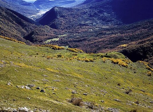 Trekking nelle valli dell’Abruzzo: La Valle del Sangro. La Valle del Sangro è una delle valli più suggestive e affascinanti dell'Abruzzo, con il suo fiume che scorre dolcemente verso il mare, tra le Marine di Torino di Sangro e Fossacesia. Risalire il corso del fiume è un'esperienza che permette di immergersi nel cuore della regione, attraversando una terra ricca di storia, cultura e paesaggi mozzafiato. Lungo il percorso, la valle rivela una varietà di paesaggi che spaziano dalle verdi pianure ai rilievi montuosi, con un susseguirsi di centri storici che raccontano la tradizione e l'evoluzione della regione. Uno dei principali punti di interesse lungo la valle è Atessa, con il suo incasato medievale e la magnifica cattedrale, che rappresentano un perfetto connubio tra storia e arte. A poca distanza, Casoli si erge con il suo castello che domina il paesaggio, mentre Roccascalegna sorprende con la sua spettacolare rocca che sembra emergere direttamente dalla roccia, offrendo uno dei panorami più suggestivi della regione. Questi borghi, con la loro posizione strategica, sono testimoni di un passato ricco di eventi storici e di una cultura che affonda le radici nei secoli. Man mano che ci si inoltra nella valle, il paesaggio diventa ancora più affascinante, con paesini come Tornareccio, famoso per le rovine della città italica di Pallanum, e Bomba, che si affaccia sul grande lago omonimo. Le viste panoramiche offerte dai centri storici di queste località sono straordinarie, con il lago di Bomba che diventa il cuore pulsante della zona, attrazione per chi cerca sia la bellezza naturale che le opportunità di svago. La valle accoglie anche piccoli borghi incastonati sulle colline, come Pennadomo e Pietraferrazzana, che sembrano essere sospesi nel tempo, regalandosi con il loro fascino un po' misterioso. La parte finale della valle, verso gli Altipiani Maggiori, è un'area caratterizzata dalla natura selvaggia e incontaminata, ideale per gli amanti delle escursioni. Qui, il paesaggio si fa più montano e aspro, e la valle entra nel distretto del tartufo, famoso in tutta Italia. Quadri è l'epicentro di questa tradizione, dove la raccolta del pregiato fungo sotterraneo è una parte fondamentale della cultura gastronomica locale. Con il suo mix di storia, cultura, natura e tradizioni, la Valle del Sangro rappresenta una meta perfetta per chi desidera esplorare un'area che è al contempo un angolo di bellezza naturale e un tesoro di patrimonio storico.