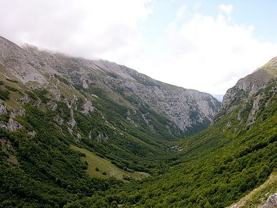 Trekking nelle valli dell’Abruzzo: La valle di Teve. La Valle di Teve è un luogo straordinario che si trova tra le montagne d'Abruzzo, un angolo nascosto ricco di storia e bellezza naturale. Il punto di partenza ideale per esplorare questa valle è il casello di Valle del Salto, dove si incontra il centro storico di Corvaro e il piccolo borgo di Cartore, che si distingue per la sua posizione suggestiva nel cuore della Marsica. Partendo da Cartore, a 940 metri di altitudine, il sentiero che si snoda attraverso una strada sterrata è l’accesso principale verso la valle, conducendo attraverso campi e boschi che lentamente si trasformano in un paesaggio più montano e selvaggio. Proseguendo lungo il percorso, si giunge al Passo le Forche, a 1221 metri di altitudine, che offre una vista panoramica unica sulla valle sottostante. Da qui, il paesaggio si apre su Rosciolo e sul Fucino, due località che aggiungono un ulteriore fascino alla vista. La valle si sviluppa in un solco profondo, contornato da montagne che creano un ambiente che invita alla riflessione e al silenzio, lontano dai rumori della vita quotidiana. La bellezza del luogo è arricchita dalla tranquillità che si respira in ogni angolo della valle, perfetta per chi cerca un contatto diretto con la natura. Un itinerario più lungo e impegnativo si addentra ulteriormente nel fondovalle, arrivando alla conca di Capo di Teve, un luogo incantevole dove la natura esplode in tutta la sua bellezza. Questa conca è circondata da montagne imponenti, tra cui il monte Velino, il monte Cafornia, la Punta Trento e il Costone, ognuna delle quali regala viste mozzafiato sulle vallate circostanti. L’intera area è un paradiso per gli amanti delle escursioni e della montagna, con sentieri che si snodano tra prati alpini, boschi e ruscelli cristallini, offrendo momenti di immersione totale in un paesaggio incontaminato. La Valle di Teve, con il suo fascino intatto, offre un’escape ideale per chi cerca una connessione profonda con la natura. La sua bellezza non è solo paesaggistica, ma anche storica, legata ai piccoli borghi che punteggiano il percorso, testimoni di tradizioni millenarie. Esplorare la valle significa scoprire una parte dell’Abruzzo meno conosciuta ma altrettanto affascinante, dove la quiete e la natura sono i protagonisti di un viaggio indimenticabile.
