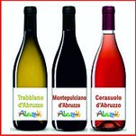 Durante quattro giorni a cavallo del primo fine settimana di Agosto, si svolge la "Mostra dei Vini Tipici” di Montepagano", una delle più conosciute manifestazioni a carattere enogastronomico della regione. La Mostra dei Vini è una vetrina che ospita, nel suggestivo borgo medievale, le migliori aziende vitivinicole abruzzesi, insieme a prodotti tipici e piatti della tradizione abruzzese. Degustazioni, spettacoli, incontri, completano il panorama altre manifestazioni.