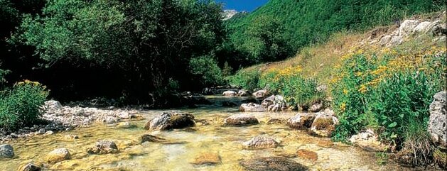 Le riserve naturali nazionali dell’Abruzzo. Le peculiarità del territorio abruzzese rendono la nostra regione un contesto ideale per sperimentare la compatibilità tra la tutela delle aree naturali protette e lo svolgimento delle attività umane. Il mantenimento degli ecosistemi è infatti una condizione indispensabile per uno sviluppo equilibrato. L’importanza delle aree protette regionali è riconosciuta anche a livello europeo, poiché la maggior parte di esse è inserita nella Rete Natura 2000, uno strumento fondamentale per la conservazione della biodiversità nel continente. Attraverso il confronto e l’individuazione condivisa di soluzioni sostenibili, è possibile applicare concretamente i princìpi dello sviluppo sostenibile. Questo approccio consente non solo di preservare il patrimonio naturale, ma anche di generare benefìci economici, culturali e sociali, a vantaggio delle comunità locali e, più in generale, dell’intera Regione Abruzzo.