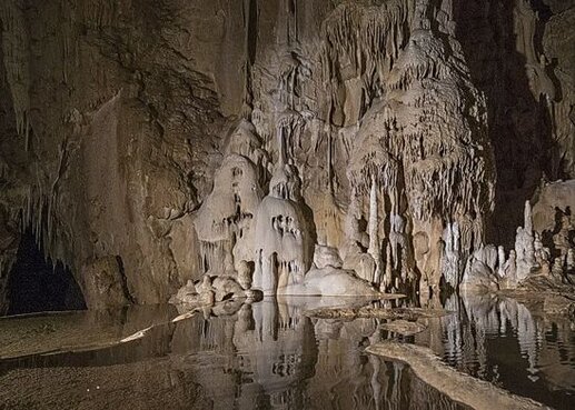 Le Grotte naturali in Abruzzo: Grotta del Cervo. La Grotta del Cervo, una delle meraviglie naturali d'Abruzzo, si trova all'interno della Riserva Naturale Speciale delle "Grotte di Pietrasecca", nel comune di Carsoli. Situata a un'altitudine di 862 metri, si distingue per il suo sviluppo che supera i 2000 metri, rendendola una delle cavità più estese della regione. Le sue esplorazioni iniziarono nel marzo del 1984, quando un gruppo di quattordici speleologi del GS CAI Roma individuò il cunicolo d'ingresso. Questa scoperta portò all'assegnazione del nome "Ovito dei Quattordici", poi modificato in "Grotta Grande dei Cervi" e infine stabilito come "Grotta del Cervo" in seguito ai numerosi reperti rinvenuti al suo interno. L'interno della grotta si presenta con ambienti di straordinaria bellezza, arricchiti da stalattiti e stalagmiti che creano suggestive scenografie naturali. Tra le formazioni più affascinanti vi sono le pelli di leopardo, le vele e le concrezioni eccentriche, il cui candore contribuisce ad accentuarne la magnificenza. A circa cento metri dall'ingresso si apre il Salone degli Antenati, che deve il suo nome al ritrovamento di reperti ossei e numismatici di grande valore storico. Gli studi effettuati sui resti ossei hanno identificato la presenza di antichi mammiferi risalenti al Pleistocene superiore, tra cui orso, lince, leone delle caverne e cervo, mentre le monete rinvenute appartengono a epoche differenti, tra cui il IV-V secolo d.C. e il XV secolo. Proseguendo l'esplorazione, si giunge alla suggestiva Sala delle Vaschette, caratterizzata da formazioni rocciose modellate dall'acqua e arricchite da cristalli di calcite. Questi bacini naturali, spesso ricolmi d'acqua di stillicidio, offrono uno spettacolo unico grazie ai giochi di riflessi generati dalla luce. Oltre questa sala, la grotta presenta un restringimento noto come la Strettoia, un passaggio che segna l'inizio della parte più tecnica del percorso, accessibile solo con attrezzature speleologiche adeguate. La complessità degli ambienti successivi rende questa zona riservata agli speleologi più esperti. Nella parte più profonda della grotta, si incontrano alcuni tra gli ambienti più spettacolari, come il Ramo delle Meraviglie e il Ramo della Medusa, caratterizzati da formazioni straordinarie. Proseguendo lungo il percorso principale, si arriva al Ramo della Luna, che introduce a due corsi d'acqua sotterranei, il Fiume di Fango e il Fiume del Silenzio, separati dal maestoso Salone Angeletta. Il viaggio attraverso la grotta culmina in un lago-sifone, che segna il punto più profondo della cavità con una quota verticale di -113 metri. Questo straordinario ambiente sotterraneo rappresenta una delle testimonianze più affascinanti della geologia abruzzese.