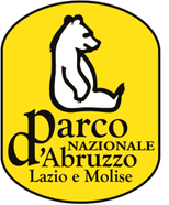 Il Parco Nazionale d’Abruzzo, Lazio e Molise, fondato nel 1922, è una delle aree protette più antiche e importanti d’Italia, celebre per la sua straordinaria biodiversità e i paesaggi incontaminati. Qui si possono osservare orsi marsicani, lupi appenninici e camosci d’Abruzzo che popolano faggete secolari, montagne scoscese e valli rigogliose. La sua natura aspra e variegata si intreccia con borghi medievali, antiche necropoli e antichi tratturi, che raccontano una storia millenaria di convivenza tra uomo e ambiente. Il parco offre ai visitatori una rete ben organizzata di sentieri, aree faunistiche e centri visitatori, che permettono di vivere esperienze a contatto con la natura in ogni stagione. In inverno, i paesaggi si trasformano e le escursioni si svolgono anche con le racchette da neve o gli sci, mentre nelle altre stagioni la varietà degli itinerari consente di esplorare boschi, corsi d’acqua e panorami mozzafiato. Il Parco Nazionale d’Abruzzo, Lazio e Molise rappresenta così un punto di riferimento per la conservazione della natura e per il turismo sostenibile nel cuore dell’Appennino centrale.