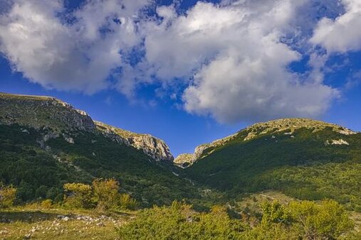 In Abruzzo, le Oasi del WWF Italia rappresentano esempi concreti di conservazione e tutela della natura, in un territorio che si distingue per la straordinaria varietà di ambienti e paesaggi. Dalle zone umide costiere ai boschi appenninici, queste aree protette offrono rifugio a numerose specie animali e vegetali, spesso rare o minacciate, e conservano ecosistemi di grande valore ecologico. Tra le oasi più rappresentative si possono citare quelle costiere come l’Oasi dei Calanchi di Atri, caratterizzata da suggestive formazioni argillose e una ricca avifauna, o quella della Riserva del Lago di Penne, un'importante zona umida dove trovano spazio numerose specie migratorie.  Queste oasi non sono solo luoghi di protezione, ma anche centri di educazione ambientale, ricerca scientifica e promozione della sostenibilità. Attraverso percorsi naturalistici, attività didattiche e iniziative rivolte al pubblico, il WWF favorisce la conoscenza del patrimonio naturale abruzzese e sensibilizza alla necessità di salvaguardarlo. In un contesto regionale già fortemente orientato alla tutela dell’ambiente, le Oasi WWF rappresentano un ulteriore tassello fondamentale per la difesa della biodiversità e per la costruzione di un rapporto più armonioso tra uomo e natura.