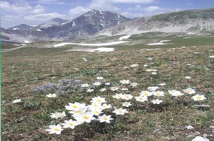 Parco nazionale d'Abruzzo, Lazio e Molise