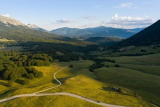 L’habitat nella riserva naturale nazionale di Piana Grande della Maielletta. La Riserva Naturale Nazionale di Piana Grande della Maielletta si distingue per il marcato gradiente altitudinale e il clima continentale, che determinano la presenza di tre distinte fasce vegetazionali. La fascia subatlantica, compresa tra i 1000-1200 e i 1700-1800 metri, è occupata da faggete termofile e microterme; quella boreale si estende fino ai 2000 metri e ospita la più vasta mugheta degli Appennini; infine, la fascia mediterraneo-altomontana, che raggiunge i 2400 metri, è caratterizzata da praterie primarie xerofitiche a Sesleria tenuifolia e Festuca robustifolia e da praterie mesofile a Festuca macrathera. Dal punto di vista fisionomico, la faggeta domina gran parte della Riserva, seguita dalla mugheta al di sopra dei 1800-1900 metri e, infine, da praterie primarie e secondarie, brecciai e rupi, che compaiono sia oltre il limite altitudinale degli alberi sia in aree degradate dove un tempo crescevano faggete e mughete. Oltre i 1000-1200 metri si estendono faggete termofile, in prevalenza cedue povere con rare formazioni più mature. In queste si trovano sporadicamente il tasso (Taxus baccata) e l’agrifoglio (Ilex aquifolium), mentre il sottobosco, generalmente rado, ospita specie come Luzula sylvatica, Hepatica nobilis e Daphne laureola. Nei siti più freschi e profondi compaiono anche Sambucus nigra, Asperula taurina, Senecio fuchsii e, nelle zone più ombrose, la felce Phyllitis scolopendrium. Oltre i 1400 metri la faggeta assume forme microterme ad alto fusto, con un sottobosco più ricco che include Polystichum aculeatum, Cardamine enneaphyllos, Adenostyles alliariae, Prenanthes purpurea e Actaea spicata. La formazione vegetazionale più rara e preziosa della Riserva è la boscaglia di pino mugo, un ecosistema relitto del post-glaciale oggi sopravvissuto solo sulla Majella e alla Camosciara. I mughi si trovano già a 1600 metri e formano un fitto bosco prostrato tra i 1700 e i 2200 metri, sotto il quale sopravvivono solo poche specie erbacee come Orthilia secunda, Valeriana montana e Hypericum richeri. Sulla cresta sommitale, su suoli primitivi ricchi di scheletro calcareo, si trovano praterie primarie xerofitiche discontinue a Sesleria tenuifolia, e in zone più pianeggianti e meno povere di suolo, formazioni a Festuca robustifolia o Festuca macrathera. In questa fascia vegetazionale prosperano rare endemiche come Oxytropis pyrenaica, Vitaliana primuliflora subsp. praetutiana, Aubrieta columnae e Dryas octopetala.