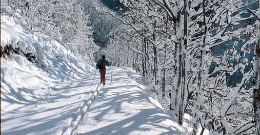 A tutti coloro che con l’ambiente amano il contatto più intenso, l’Abruzzo sa proporre le opportunità più eccitanti: la sua natura forte, infatti, dispone del più completo assortimento di ambienti, estivi ed invernali, con cui misurarsi. L’alpinismo è lo sport per cui la regione è nota da sempre: la prima scalata documentata del Gran Sasso è addirittura del 1573! Con le sue belle ed elevate cime, la regione offre itinerari di ogni grado di difficoltà: trekking “himalayani”, scalate o free climbing su immani pareti rocciose, o più semplici escursioni a piedi, a cavallo, con gli sci o in mountainbike lungo mille sentieri che si snodano fra gole, torrenti, castelli, eremi, antichi borghi. Agli appassionati del volo a vela, l’Abruzzo propone teatri di volo perfetti: le innumerevoli terrazze naturali da cui lanciarsi, il rapidissimo innalzarsi delle montagne dal livello del mare (le maggiori cime degli Appennini sono a meno di 45 km dalla costa!) con le ottime “termiche” che questa orografia sa produrre, rendono l’Abruzzo ideale per il deltaplano e il parapendio. In canoa o in kayak è invece possibile discendere molti fiumi, coniugando sport e avventura. Uno dei percorsi più interessanti è quello che si snoda lungo il braccio superiore del Vomano, in provincia di Teramo. Il fiume non è certo il Colorado river, ma è sicuramente uno dei più amati dai canoisti italiani; soprattutto il braccio superiore è un’autentica pista “nera”, adatta solo a chi ha grande esperienza con la pagaia. La canoa può essere inoltre praticata lungo i fiumi Sangro, Aventino, Orta, Alento, Tirino, nelle suggestive gole di Celano e sull’Aterno, attraverso le selvagge gole di S. Venanzio. Per il trekking o l’alpinismo ci si può rivolgere alle guide alpine o agli accompagnatori di media montagna, abilitati e riuniti in Collegio; per il deltaplano ed il parapendio agli Aeroclub di Pescara e L’Aquila o all’Associazione Blue Wind di Sulmona, tutte riconosciute dall’Aeroclub d’Italia; infine, il riferimento per praticare canoa o kayak è la Federazione Nazionale.