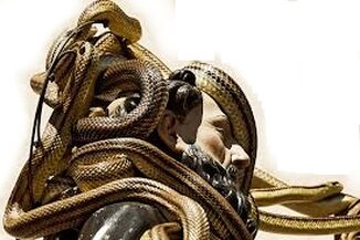 La Festa dei Serpari di Cocullo, che si svolge ogni anno il 1° maggio. La Festa dei Serpari di Cocullo, in provincia dell'Aquila, è una delle celebrazioni più suggestive e misteriose dell'Abruzzo, dove si mescolano antiche tradizioni pagane e culto cristiano. Ogni anno, il 1° maggio, il piccolo borgo si anima con una manifestazione unica nel suo genere, dedicata a San Domenico Abate, il santo protettore dal morso dei serpenti. La festa affonda le sue radici in riti ancestrali legati alla venerazione degli animali e al rapporto dell’uomo con la natura, trasformati nel tempo in un atto di fede e devozione. Il momento più atteso è la processione della statua del santo, ricoperta di serpenti vivi, che sfila tra le strade del paese in un’atmosfera di grande partecipazione e spiritualità. La leggenda narra che San Domenico, inseguito da nemici, trovò rifugio a Cocullo, dove visse per sette anni, lasciando ai fedeli due preziose reliquie: un dente e un ferro di cavallo della sua mula. Ancora oggi, durante la celebrazione, i devoti mordono una piccola catenella di ferro per proteggere i denti dalle malattie e raccolgono la terra benedetta all'interno della chiesa, ritenuta miracolosa contro i mali del corpo. Questi antichi gesti propiziatori, tramandati di generazione in generazione, testimoniano il forte legame tra la comunità e il culto del santo, in un equilibrio perfetto tra superstizione e fede. Un ruolo fondamentale nella festa è svolto dai serpari, uomini esperti nella cattura e nella gestione dei serpenti, che nei giorni precedenti all’evento si addentrano nei boschi circostanti alla ricerca di rettili non velenosi. Durante la celebrazione, mostrano con fierezza gli esemplari raccolti, permettendo ai presenti di toccarli e superare la paura di questi animali, spesso associati a pericoli e sventure. Questo contatto con i serpenti assume un significato simbolico profondo: rappresenta il dominio dell’uomo sulla natura e la vittoria sulle proprie paure, in un rito di purificazione e protezione che coinvolge l’intera comunità. Quando la processione ha inizio, la statua di San Domenico viene sollevata dai portatori e completamente avvolta dai serpenti, che si intrecciano sulle sue braccia e sul volto, creando un’immagine spettacolare e intensa. Il passaggio della statua tra le strade del paese è accompagnato da preghiere, canti e momenti di forte emozione, mentre i fedeli toccano il santo nella speranza di ricevere protezione e guarigione. La celebrazione è un momento di grande coesione sociale, che unisce gli abitanti di Cocullo e i numerosi pellegrini in un’esperienza mistica e coinvolgente, in cui il sacro e il profano si fondono in modo straordinario. Al termine della festa, tutti i serpenti vengono restituiti alla natura, riaffermando il rispetto e l’equilibrio tra uomo e ambiente. Questo aspetto sottolinea l’importanza della festa non solo come evento religioso, ma anche come rito di armonia con il mondo naturale. La Festa dei Serpari di Cocullo continua a essere una delle manifestazioni più affascinanti e partecipate dell’Abruzzo, richiamando ogni anno migliaia di visitatori e mantenendo vivo un patrimonio culturale unico, capace di resistere al tempo e alle trasformazioni della società.