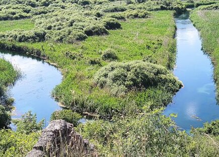 Le sorgenti dei fiumi in Abruzzo: Sorgenti del Fiume Tirino. La valle del fiume Tirino che va dal comune di Capestrano a quello di Bussi è un territorio che da tempo nasconde alcuni dei più importanti tesori storici e naturali d’Abruzzo. Il nome deriva dal greco e significa tripla primavera, infatti il fiume è formato dalle tre diverse sorgenti che si uniscono: Lago, Presciano e Capo d’Acqua che formano l’omonimo lago nel Parco Nazionale del Gran Sasso.